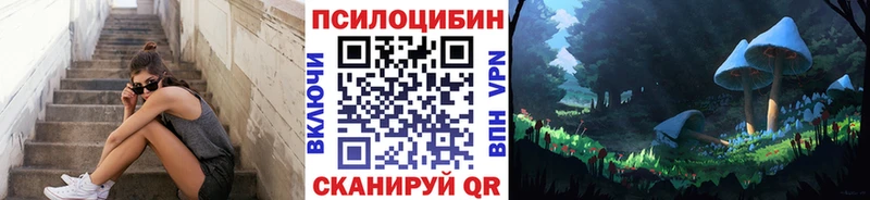 Псилоцибиновые грибы прущие грибы  дарнет шоп  Улан-Удэ 