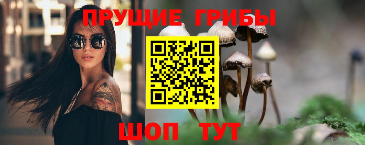 Галлюциногенные грибы MAGIC MUSHROOMS  Вход с VPN  Улан-Удэ 